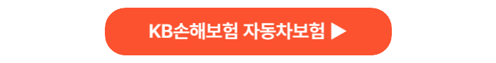 KB손해보험 자동차보험