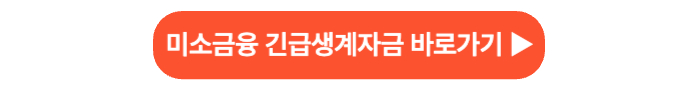 미소금융 긴급생계자금